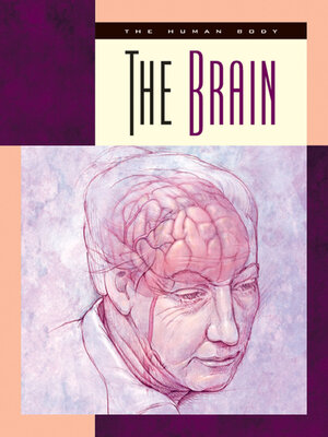 cover image of The Brain